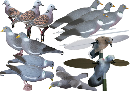 category img